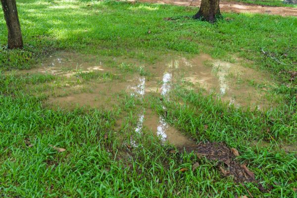 Cost of Storm Water Drainage Service in Newark