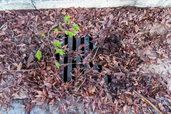 Cost of Yard Drain Unclogging in Newark