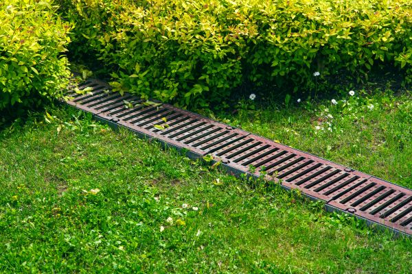 Cost of Lawn Drainage in Newark