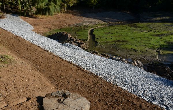 Cost of Landscape Swales Installation in Newark