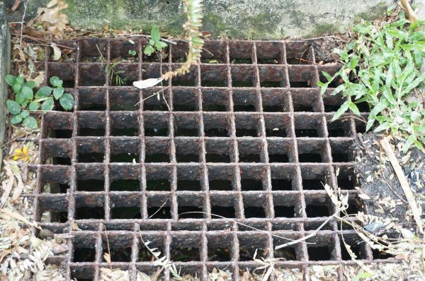 Cost of Yard Drain Cleaning in Newark