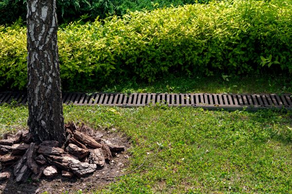 Cost of Wet Yard Drainage in Newark
