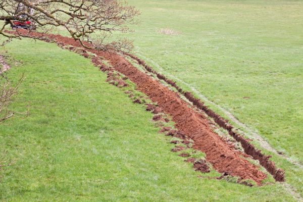 Cost of Swale Installation in Newark