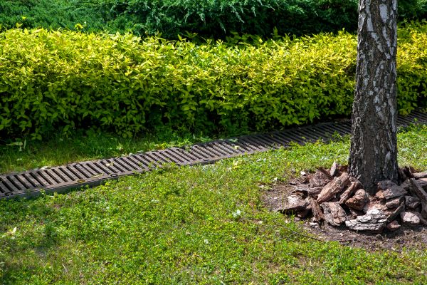 Cost of Residential Landscape Drainage in Newark