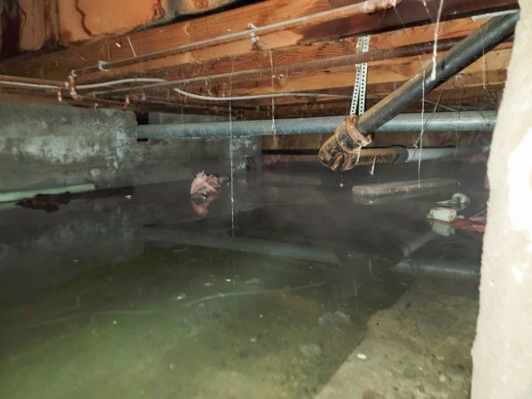 Cost of Crawlspace Drainage in Newark