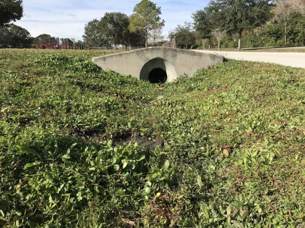 Cost of Swale Drainage Service in Newark