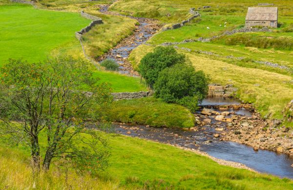 Cost of Swale Repair in Newark
