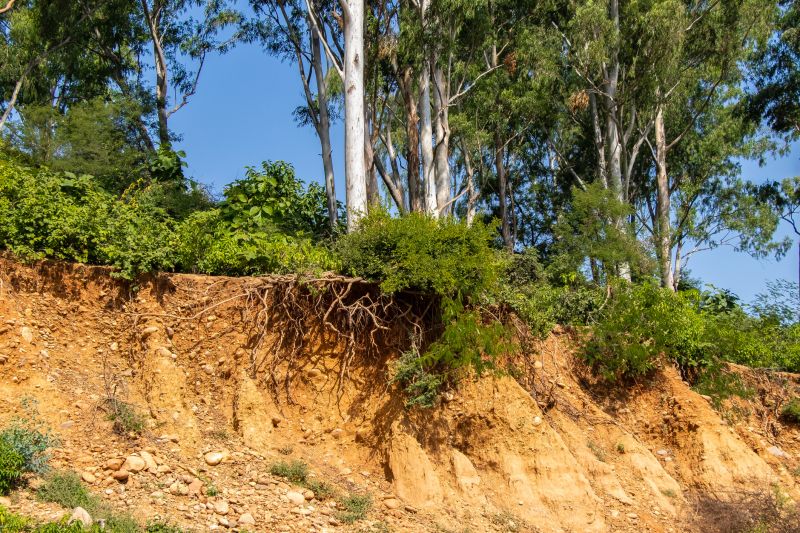 Erosion Control Work